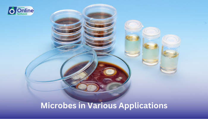Lesson 11: Explaining the Role of Microbes in Various Applications